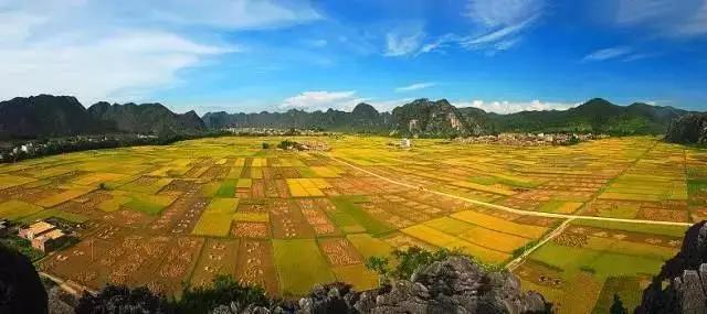 中國經(jīng)濟(jì)體制改革基金會(huì)全國第一！中國改革熱度第三方評(píng)估出爐，云浮宣傳系數(shù)在全國343個(gè)城市居首位                             